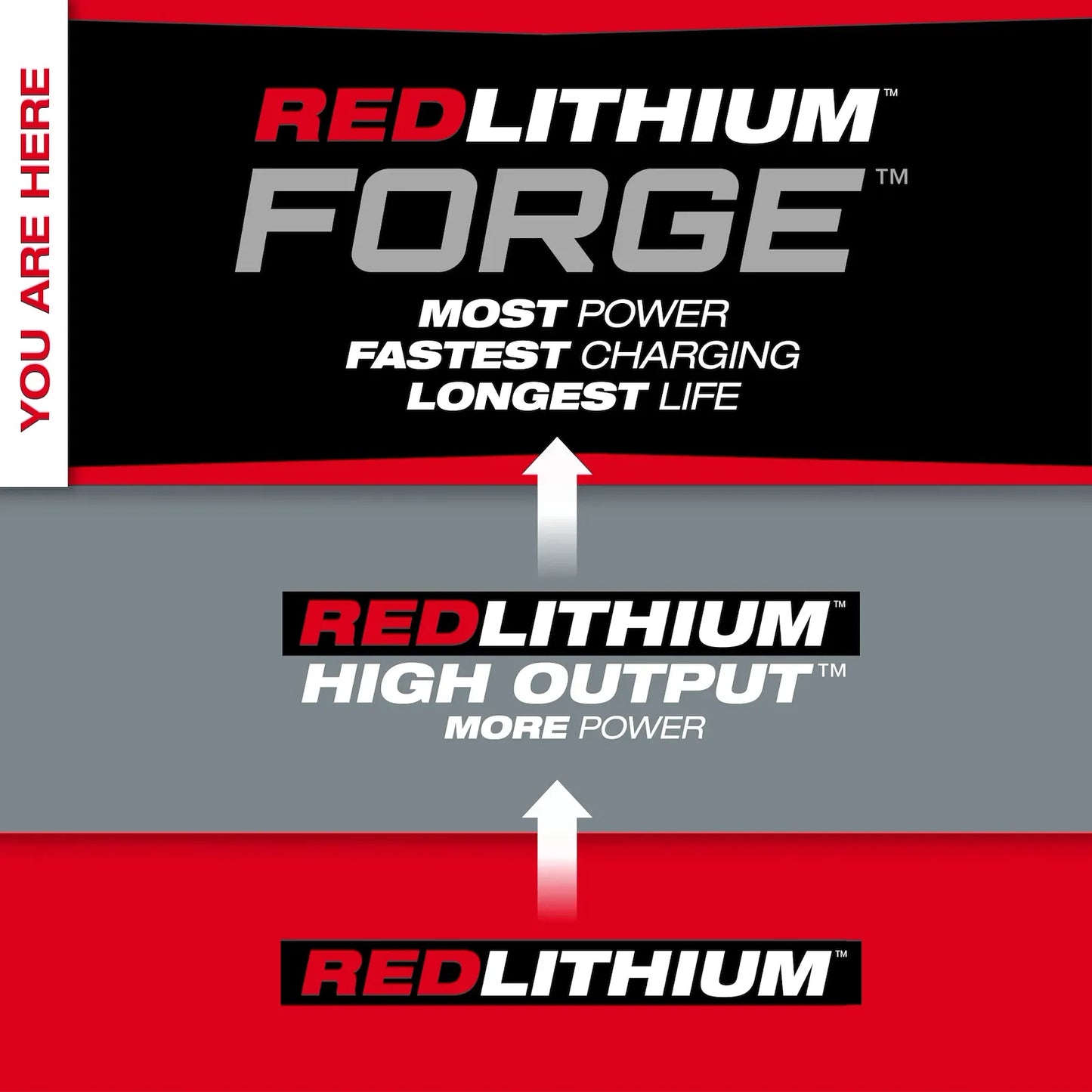 M18 REDLITHIUM FORGE XC8.0 Battery Pack